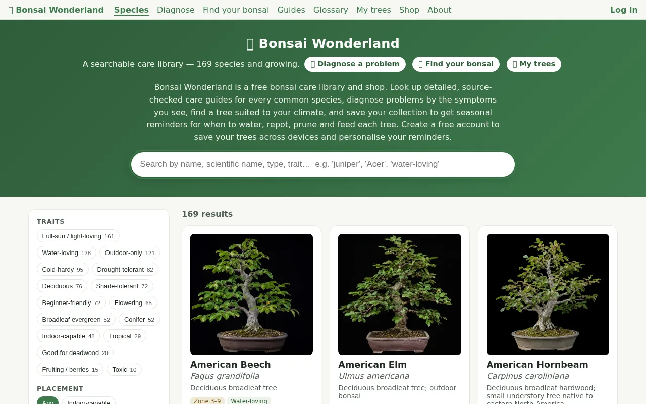 Bonsai Wonderland — site preview