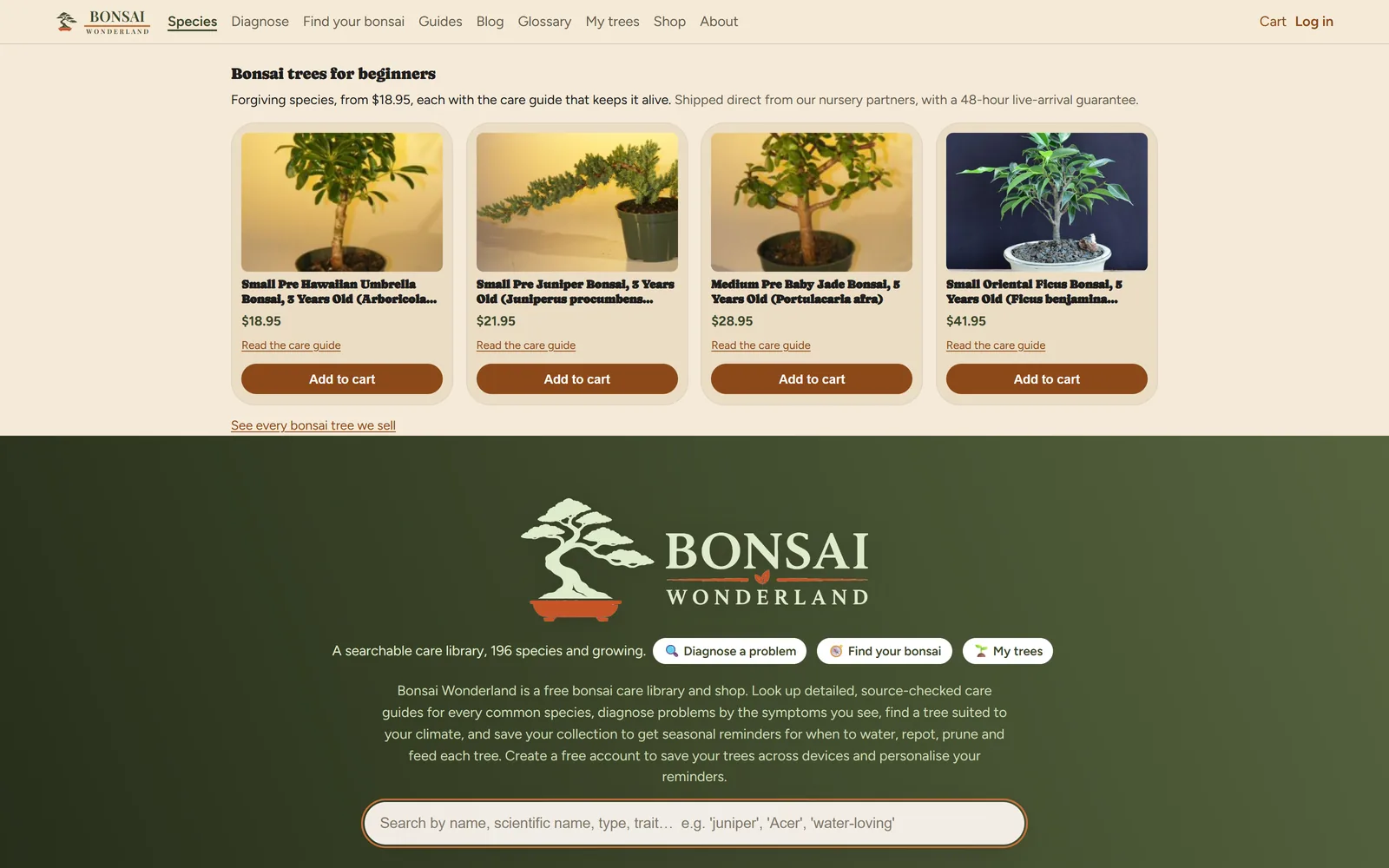 Bonsai Wonderland — site preview