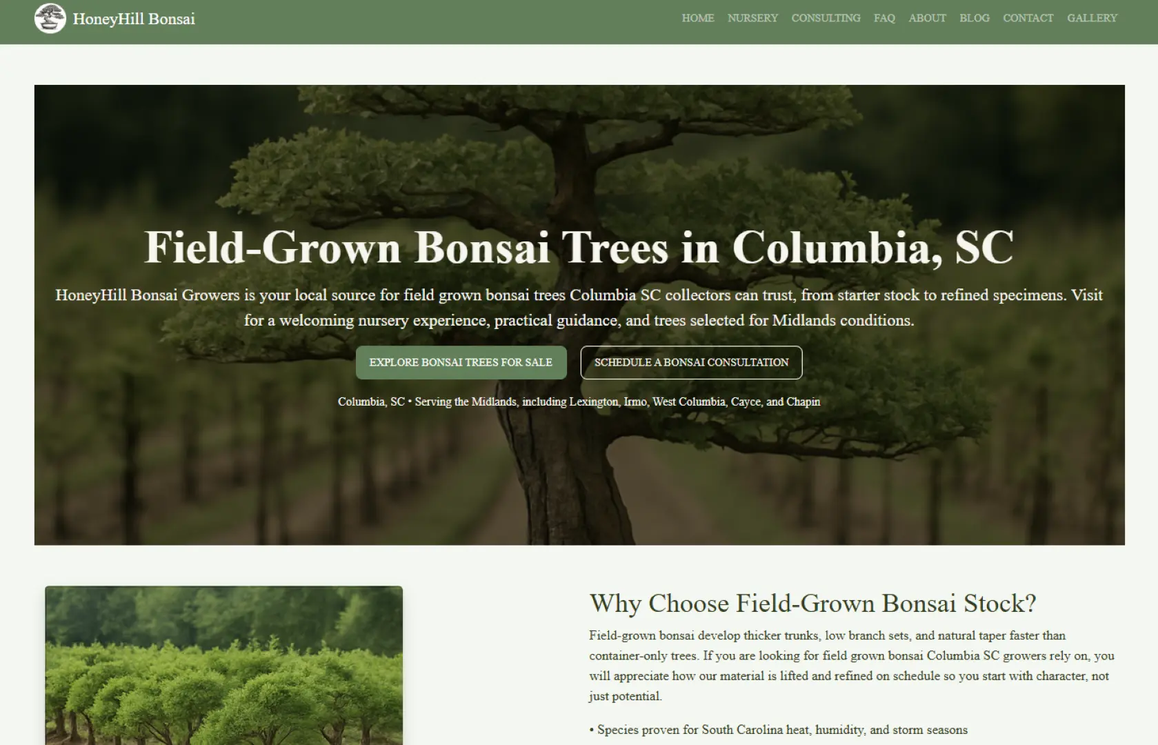 Honey Hill Bonsai — site preview